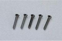 55298 Piko  Track Screws Approx 400 Pcs 